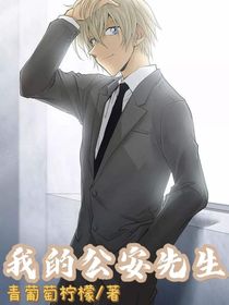 我的公安先生