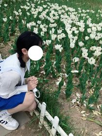路边的花你别乱采