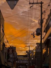城翊：酒后乱事