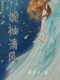 婉袖清风
