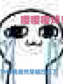 TMD我居然穿越凹凸了