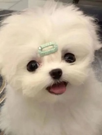 豪刘重生之我要当学霸
