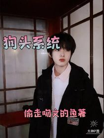狗头系统-d306