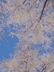 凹凸……月下獨(dú)酌