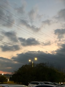 真实要临海