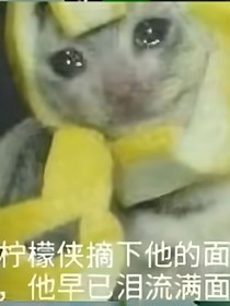 我的108个梦