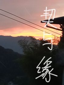 契與緣