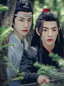 陳情令：護(hù)你一生平安