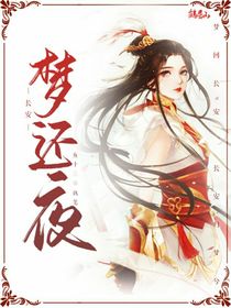 长安梦还夜