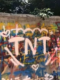TNT：心机伪单纯美人