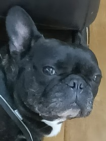 黎塘学院那些年
