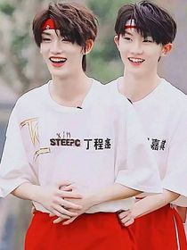 狐狸的马
