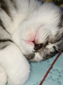 随记初高中