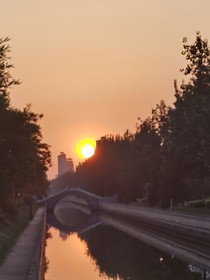 玫瑰天使竟在我身边