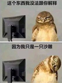 不知道什么时候删