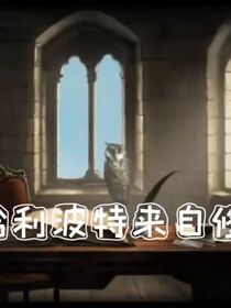 hp，哈利波特來自修真界-d235