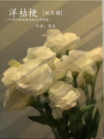 丽钵花