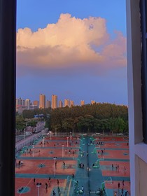 你追世界，我追你背影