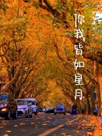 你我皆如星月