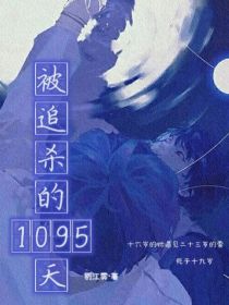 被追杀的1095天