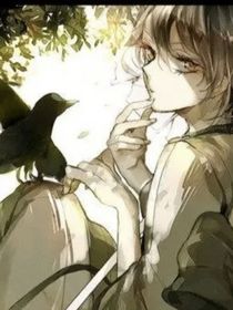 小花仙：彩葉草精靈王