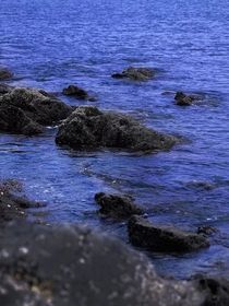 飘流瓶