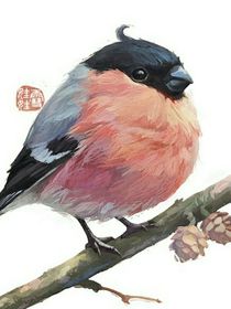 专发刺七图（1）