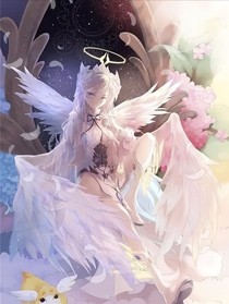 珍藤组：我的天使