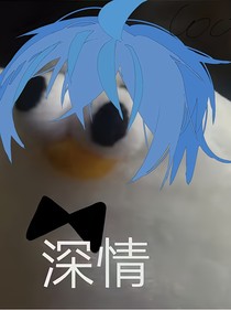 論這些年浩哥招惹的那些男人