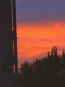 祺鑫：歸來