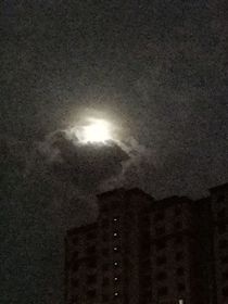 靈纪