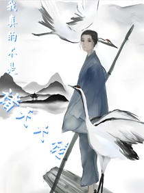 我真的不是诸天大佬