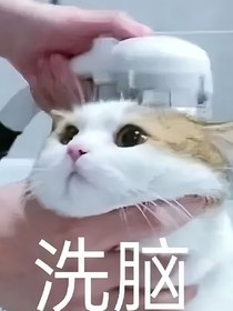 是短篇