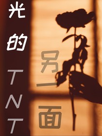 TNT：光的另一面