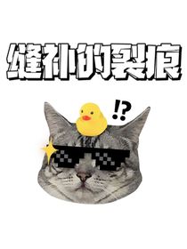 縫補(bǔ)的裂痕