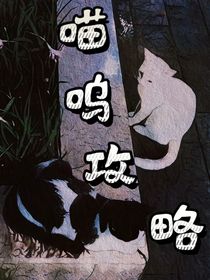 喵呜攻略