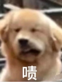 雙木無為