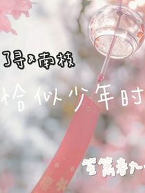 恰似少年時
