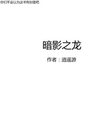 暗影之龙