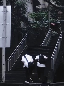 文軒：月光的蒲公英