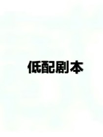 低配剧本