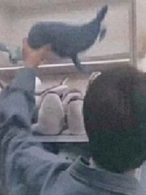 我们互相的救赎