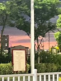 下雨后的蝴蝶