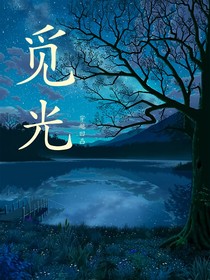 穿越凹凸：觅光