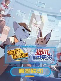 猫爪线上聊天室