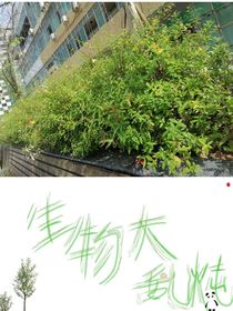 生物大乱炖