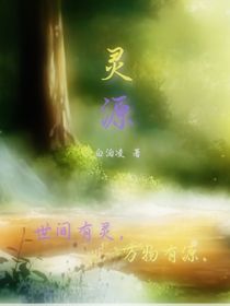 灵源之起点