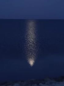 浮華逝
