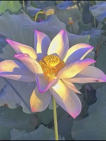 逃离现场