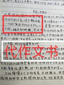 代作文書
